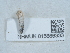  ( - NHMUK015666333)  @11 [ ] Unspecified (default): All Rights Reserved  Unspecified Unspecified