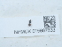  ( - NHMUK015667633)  @11 [ ] Unspecified (default): All Rights Reserved  Unspecified Unspecified