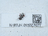  ( - NHMUK015667677)  @11 [ ] Unspecified (default): All Rights Reserved  Unspecified Unspecified