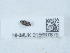  ( - NHMUK015667679)  @11 [ ] Unspecified (default): All Rights Reserved  Unspecified Unspecified