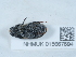  ( - NHMUK015667694)  @11 [ ] Unspecified (default): All Rights Reserved  Unspecified Unspecified
