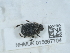  ( - NHMUK015667704)  @11 [ ] Unspecified (default): All Rights Reserved  Unspecified Unspecified