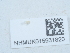  ( - NHMUK015931820)  @11 [ ] Unspecified (default): All Rights Reserved  Unspecified Unspecified