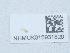  ( - NHMUK015931820)  @11 [ ] Unspecified (default): All Rights Reserved  Unspecified Unspecified