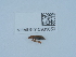  ( - NHMUK015931850)  @11 [ ] Unspecified (default): All Rights Reserved  Unspecified Unspecified