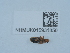  ( - NHMUK015931850)  @11 [ ] Unspecified (default): All Rights Reserved  Unspecified Unspecified