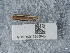  ( - NHMUK015984948)  @11 [ ] Unspecified (default): All Rights Reserved  Unspecified Unspecified