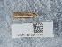  ( - NHMUK015984948)  @11 [ ] Unspecified (default): All Rights Reserved  Unspecified Unspecified