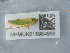  ( - NHMUK015984956)  @11 [ ] Unspecified (default): All Rights Reserved  Unspecified Unspecified