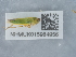  ( - NHMUK015984956)  @11 [ ] Unspecified (default): All Rights Reserved  Unspecified Unspecified