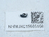  ( - NHMUK015985158)  @11 [ ] Unspecified (default): All Rights Reserved  Unspecified Unspecified