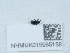  ( - NHMUK015985158)  @11 [ ] Unspecified (default): All Rights Reserved  Unspecified Unspecified