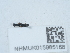  ( - NHMUK015985168)  @11 [ ] Unspecified (default): All Rights Reserved  Unspecified Unspecified