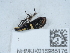  ( - NHMUK015985176)  @11 [ ] Unspecified (default): All Rights Reserved  Unspecified Unspecified