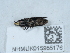  ( - NHMUK015985176)  @11 [ ] Unspecified (default): All Rights Reserved  Unspecified Unspecified