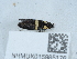  ( - NHMUK015985176)  @11 [ ] Unspecified (default): All Rights Reserved  Unspecified Unspecified