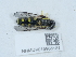  ( - NHMUK015985181)  @11 [ ] Unspecified (default): All Rights Reserved  Unspecified Unspecified