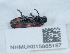  ( - NHMUK015985187)  @11 [ ] Unspecified (default): All Rights Reserved  Unspecified Unspecified