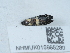  ( - NHMUK015985280)  @11 [ ] Unspecified (default): All Rights Reserved  Unspecified Unspecified