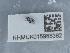  ( - NHMUK015988382)  @11 [ ] Unspecified (default): All Rights Reserved  Unspecified Unspecified