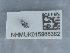  ( - NHMUK015988382)  @11 [ ] Unspecified (default): All Rights Reserved  Unspecified Unspecified