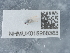  ( - NHMUK015988383)  @11 [ ] Unspecified (default): All Rights Reserved  Unspecified Unspecified
