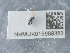  ( - NHMUK015988383)  @11 [ ] Unspecified (default): All Rights Reserved  Unspecified Unspecified