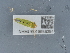  ( - NHMUK015988384)  @11 [ ] Unspecified (default): All Rights Reserved  Unspecified Unspecified