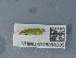  ( - NHMUK015988385)  @11 [ ] Unspecified (default): All Rights Reserved  Unspecified Unspecified