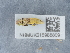  ( - NHMUK015988809)  @11 [ ] Unspecified (default): All Rights Reserved  Unspecified Unspecified