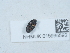  ( - NHMUK015995592)  @11 [ ] Unspecified (default): All Rights Reserved  Unspecified Unspecified