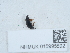  ( - NHMUK015995592)  @11 [ ] Unspecified (default): All Rights Reserved  Unspecified Unspecified