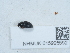  ( - NHMUK015995592)  @11 [ ] Unspecified (default): All Rights Reserved  Unspecified Unspecified