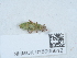  ( - NHMUK015995612)  @11 [ ] Unspecified (default): All Rights Reserved  Unspecified Unspecified