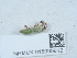  ( - NHMUK015995612)  @11 [ ] Unspecified (default): All Rights Reserved  Unspecified Unspecified