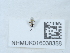  ( - NHMUK016038388)  @11 [ ] Unspecified (default): All Rights Reserved  Unspecified Unspecified