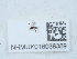  ( - NHMUK016038389)  @11 [ ] Unspecified (default): All Rights Reserved  Unspecified Unspecified