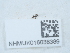 ( - NHMUK016038389)  @11 [ ] Unspecified (default): All Rights Reserved  Unspecified Unspecified