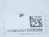  ( - NHMUK016038389)  @11 [ ] Unspecified (default): All Rights Reserved  Unspecified Unspecified