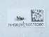  ( - NHMUK016038390)  @11 [ ] Unspecified (default): All Rights Reserved  Unspecified Unspecified