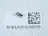  ( - NHMUK016038390)  @11 [ ] Unspecified (default): All Rights Reserved  Unspecified Unspecified