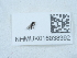  ( - NHMUK016038392)  @11 [ ] Unspecified (default): All Rights Reserved  Unspecified Unspecified