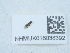  ( - NHMUK016038392)  @11 [ ] Unspecified (default): All Rights Reserved  Unspecified Unspecified