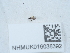  ( - NHMUK016038392)  @11 [ ] Unspecified (default): All Rights Reserved  Unspecified Unspecified