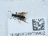  ( - NHMUK016038402)  @11 [ ] Unspecified (default): All Rights Reserved  Unspecified Unspecified