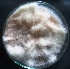  ( - F9MNK4)  @11 [ ] Copyright (2015) PHCDBS Paul Hebert Center for DNA Barcoding and Biodiversity Studies