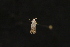  ( - Dun-08-031)  @12 [ ] Unspecified (default): All Rights Reserved  Unspecified Unspecified