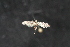  ( - Dun-08-035)  @12 [ ] Unspecified (default): All Rights Reserved  Unspecified Unspecified