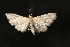  ( - Dun-08-085)  @13 [ ] CreativeCommons - Attribution (2010) Unspecified University of British Columbia