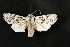  ( - Dun-08-153)  @13 [ ] Unspecified (default): All Rights Reserved  Unspecified Unspecified